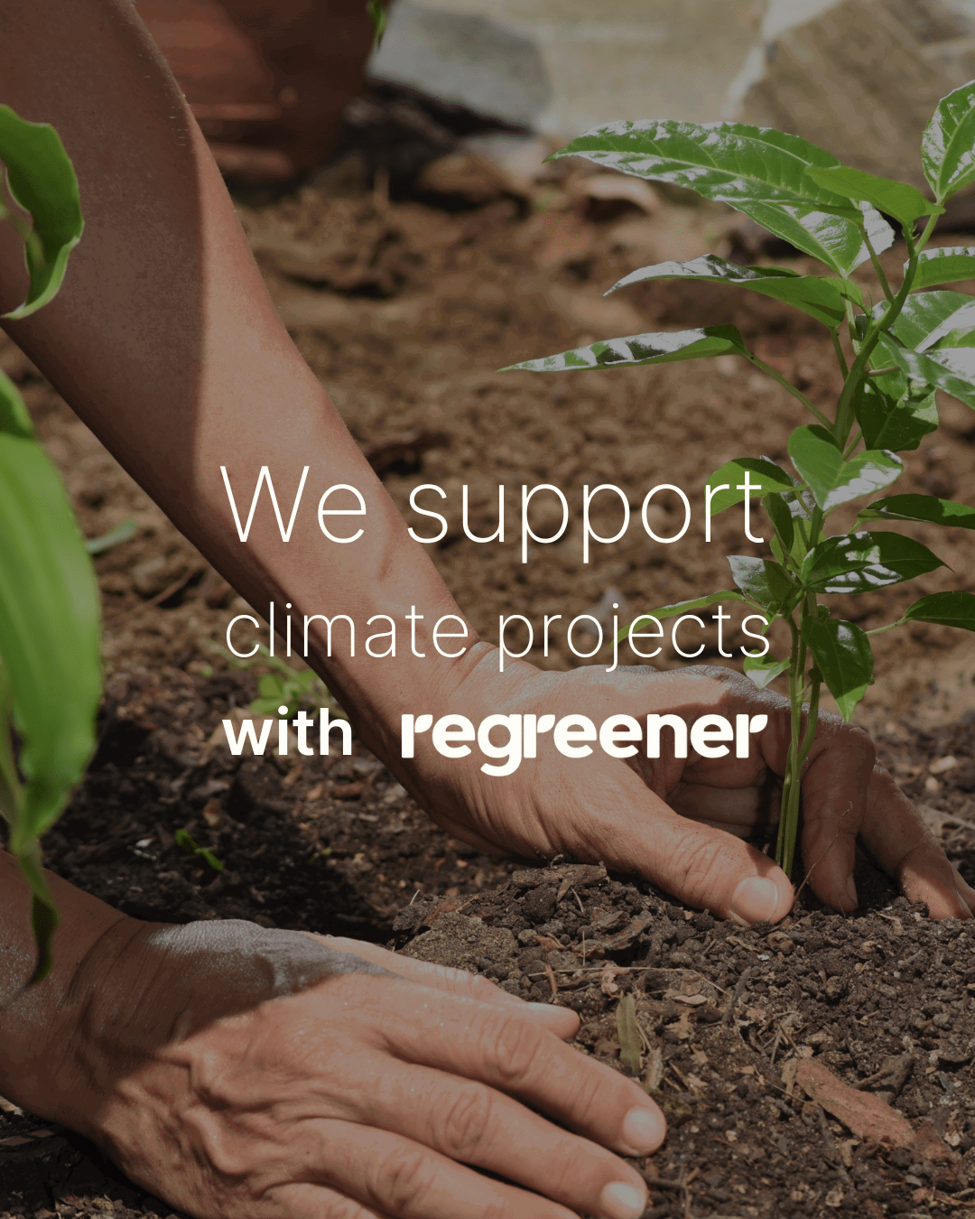 Was macht Regreener?