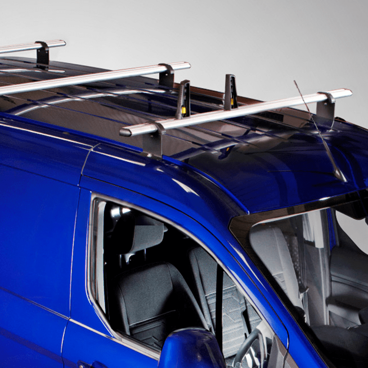 Dachträger Transporter